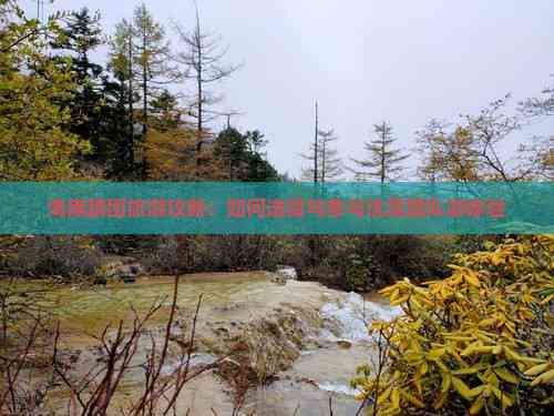 海南跟團(tuán)旅游全攻略 如何選擇與參與優(yōu)質(zhì)團(tuán)隊游體驗(yàn)